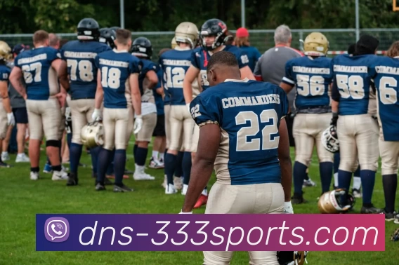 333体育APP 封面图